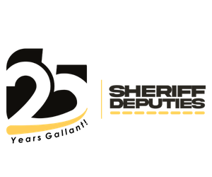 25 Years Logo